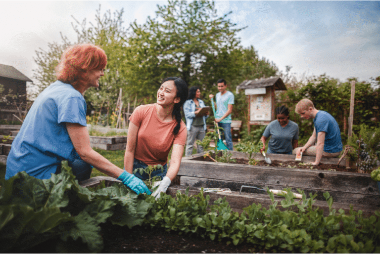 A group of people working in a garden.