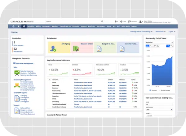 Netsuite ERP screenshot
