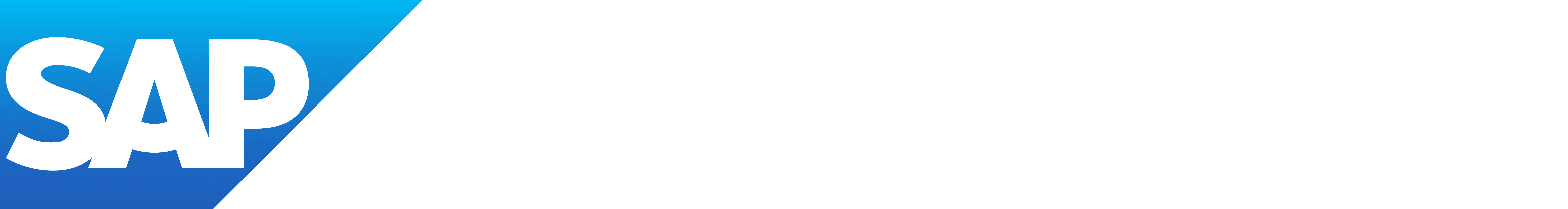 SAP Business One logo with white "SAP" in bold on a blue gradient background and the words "Business One" in light gray on a white background.